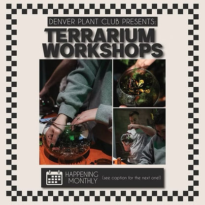 Private Terrarium Workshop