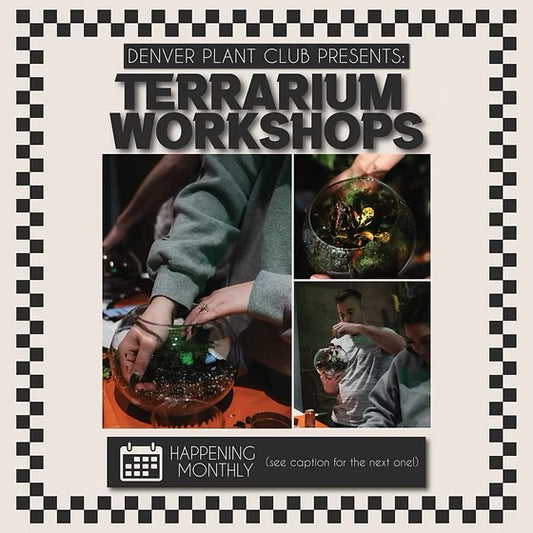 Private Terrarium Workshop