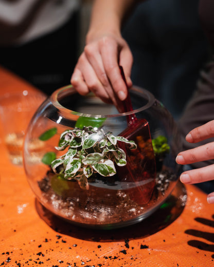 Private Terrarium Workshop