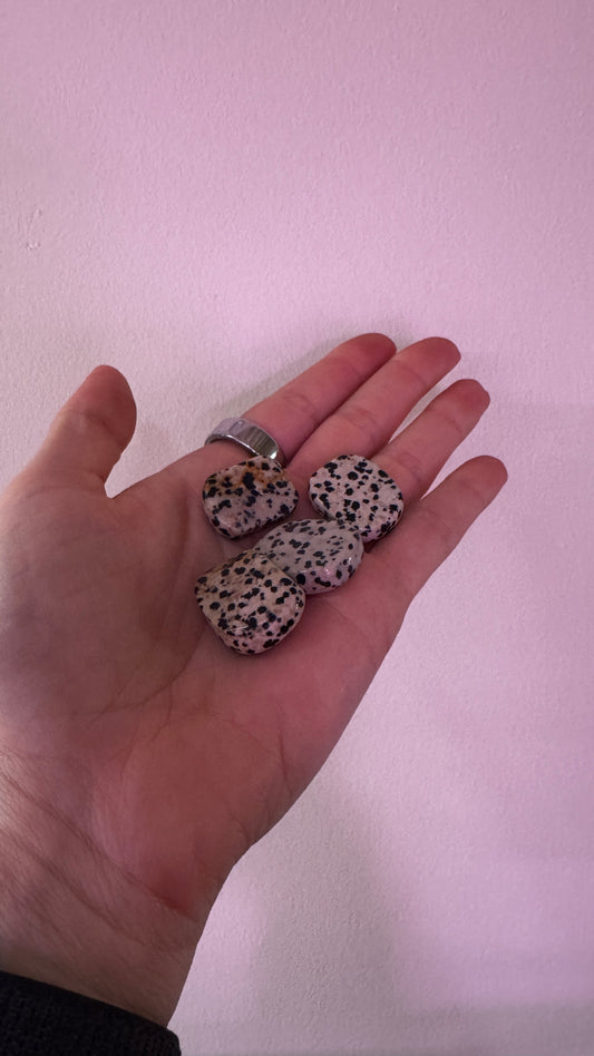 Dalmatian Jasper Worry Stones